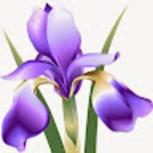 Meet your Posher, Iris